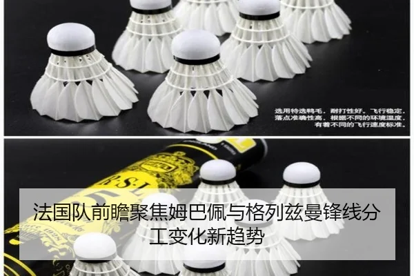 法国队前瞻聚焦姆巴佩与格列兹曼锋线分工变化新趋势