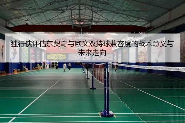 独行侠评估东契奇与欧文双持球兼容度的战术意义与未来走向